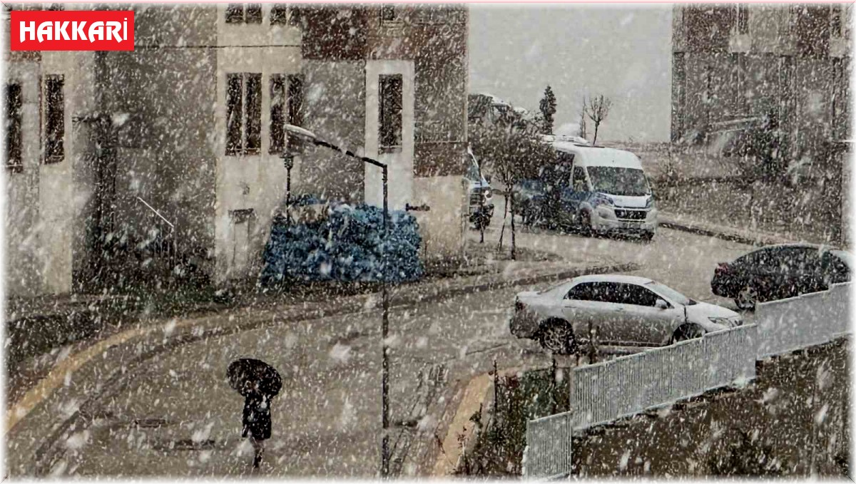 Yüksekova'da yoğun kar yağışı başladı