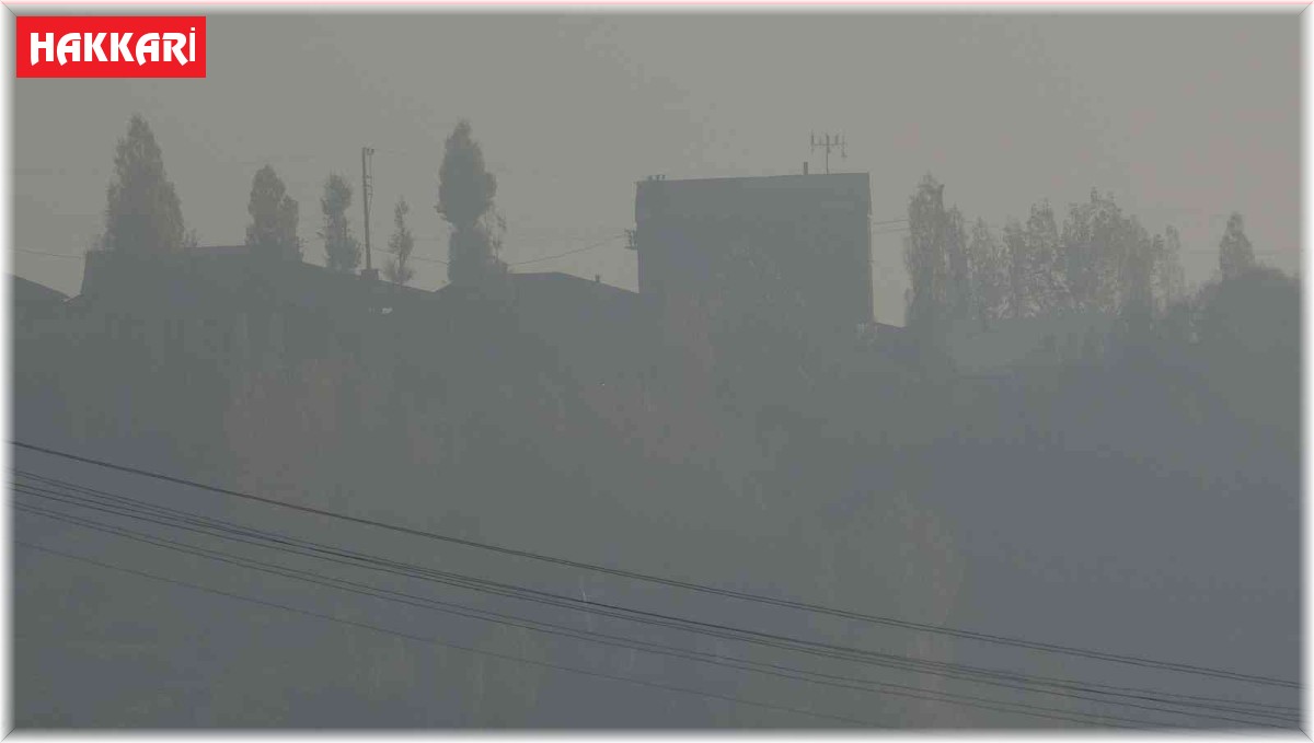 Yüksekova'da yoğun sis: Görüş mesafesi 10 metreye kadar düştü