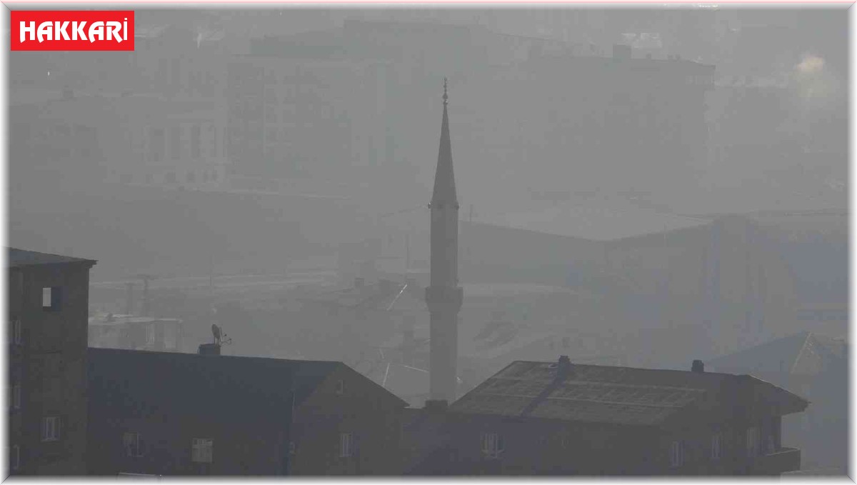 Yüksekova'da yoğun sis hayatı olumsuz etkiliyor