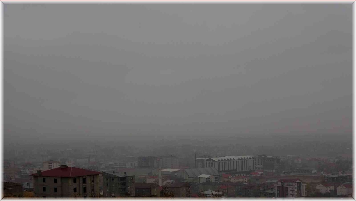 Yüksekova'da yoğun sis hayatı olumsuz etkiliyor