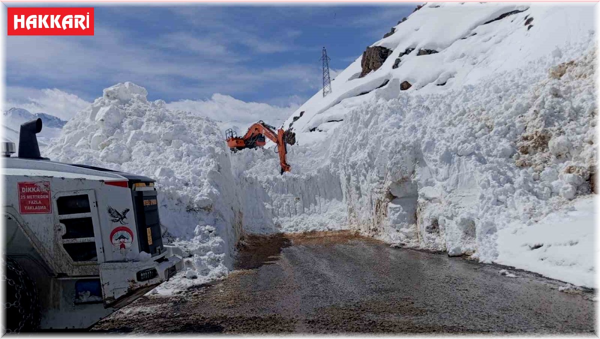 Yüksekova-Dağlıca kara yoluna çığ düştü