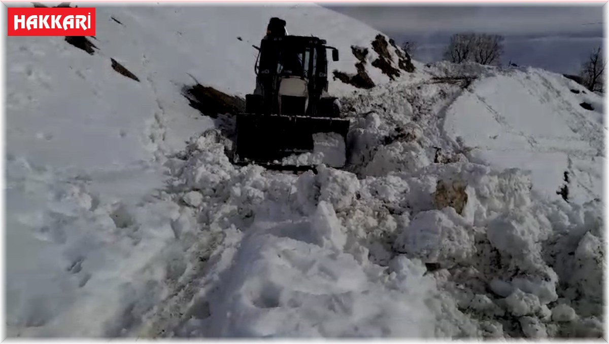 Yüksekova'daki köy yollarında karla mücadele çalışması devam ediyor