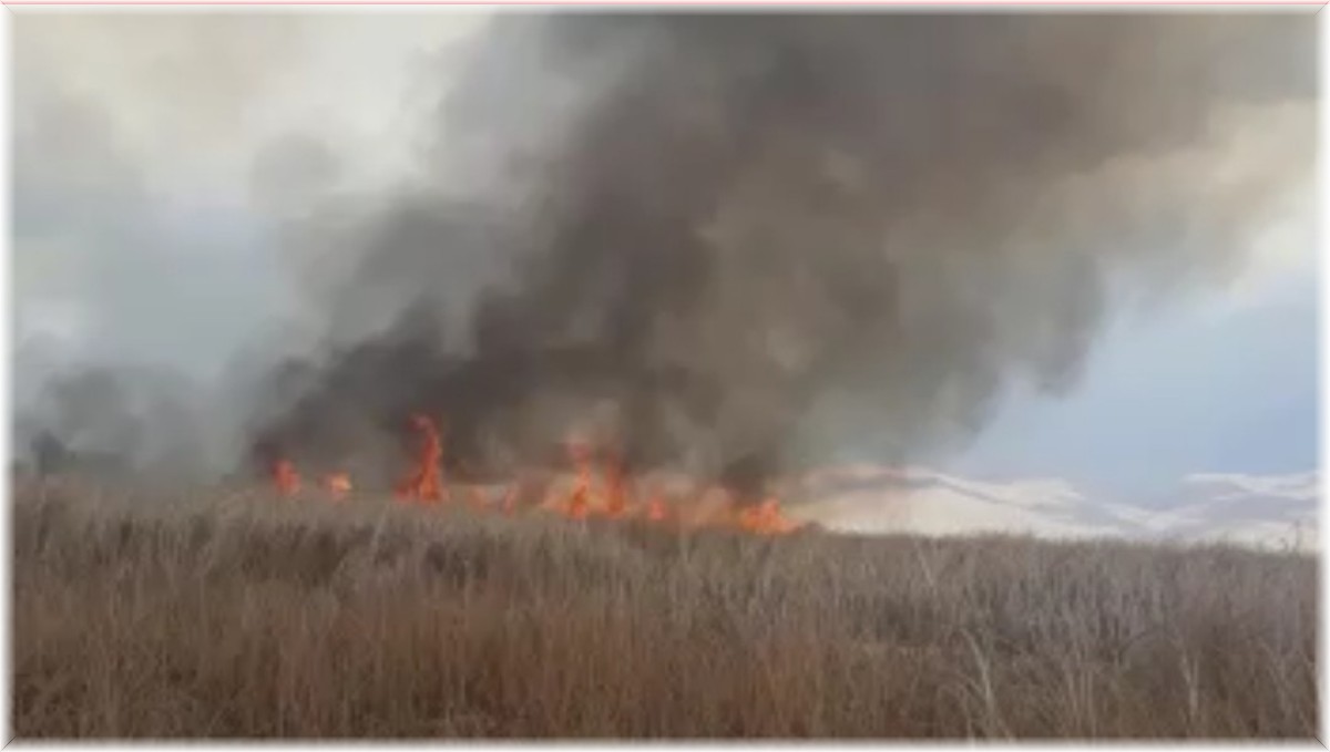 Yüksekova'daki Nehil Sazlığı'nda yangın