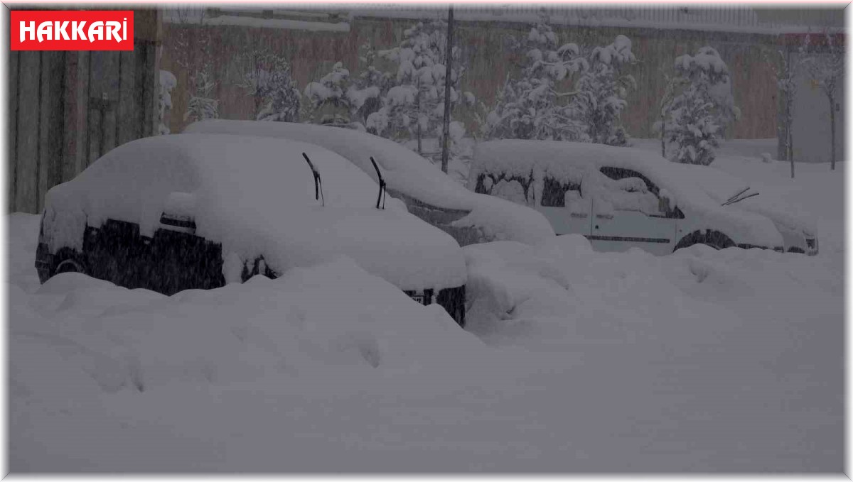 Yüksekova kar altında