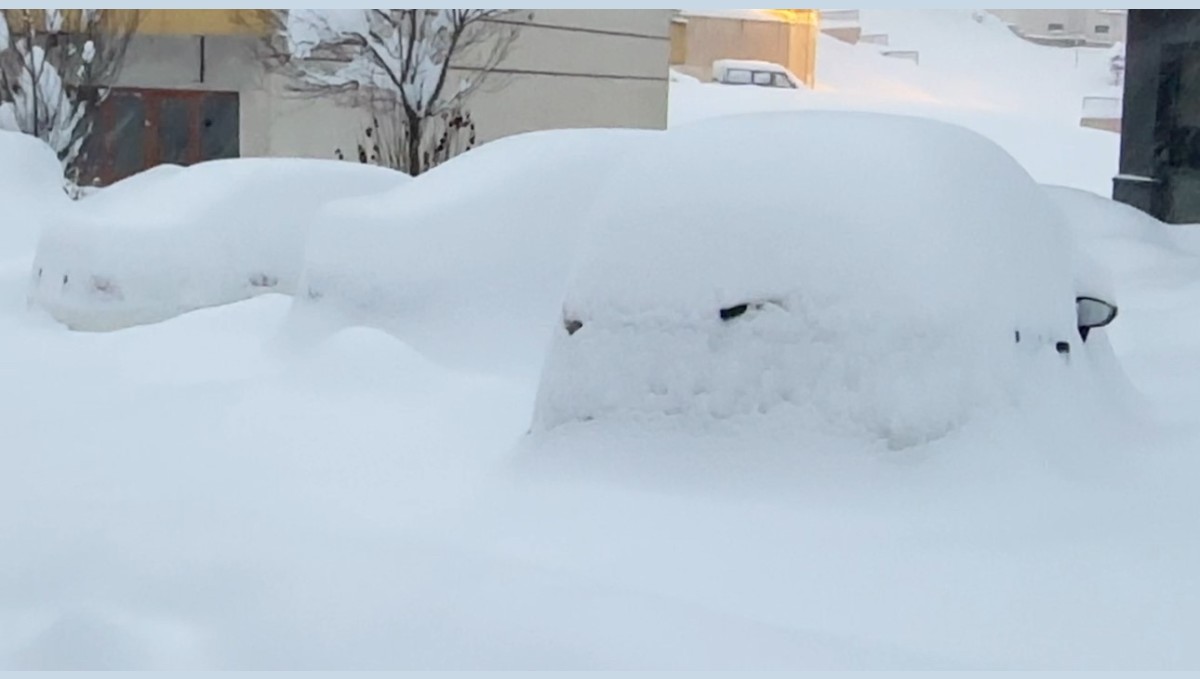 Yüksekova kara gömüldü: Kar kalınlığı yarım metreyi geçti