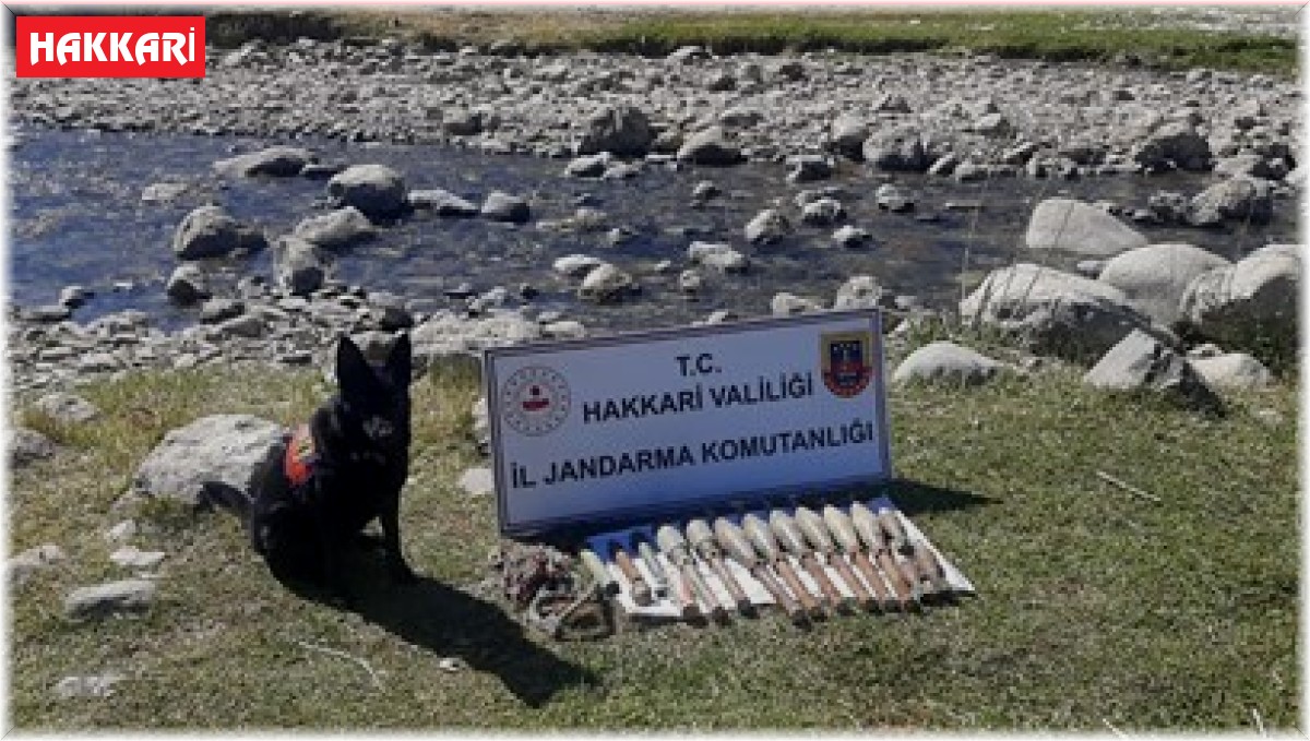 Yüksekova kırsalında silah ve mühimmat ele geçirildi