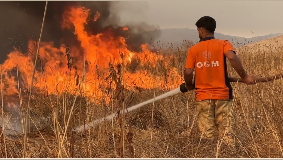 Yüksekova kuş cenneti alevlere teslim: Yangın kontrol altına alınamıyor