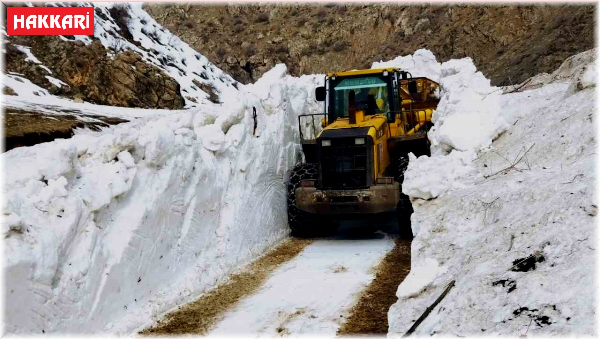 Yüksekova'nın İran sınırında karla mücadele sürüyor