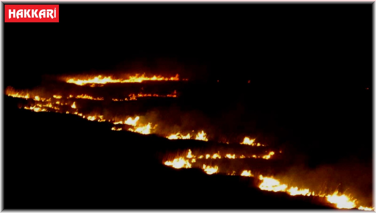 Yüksekova'nın kuş cenneti 4 gündür alev alev yanıyor