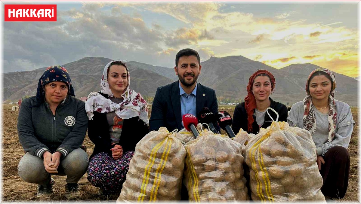Yüksekova'nın toprağından bereket fışkırıyor: Ton ton patates elde edildi