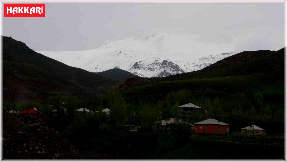 Yüksekova'nın yüksek kesimleri beyaza büründü