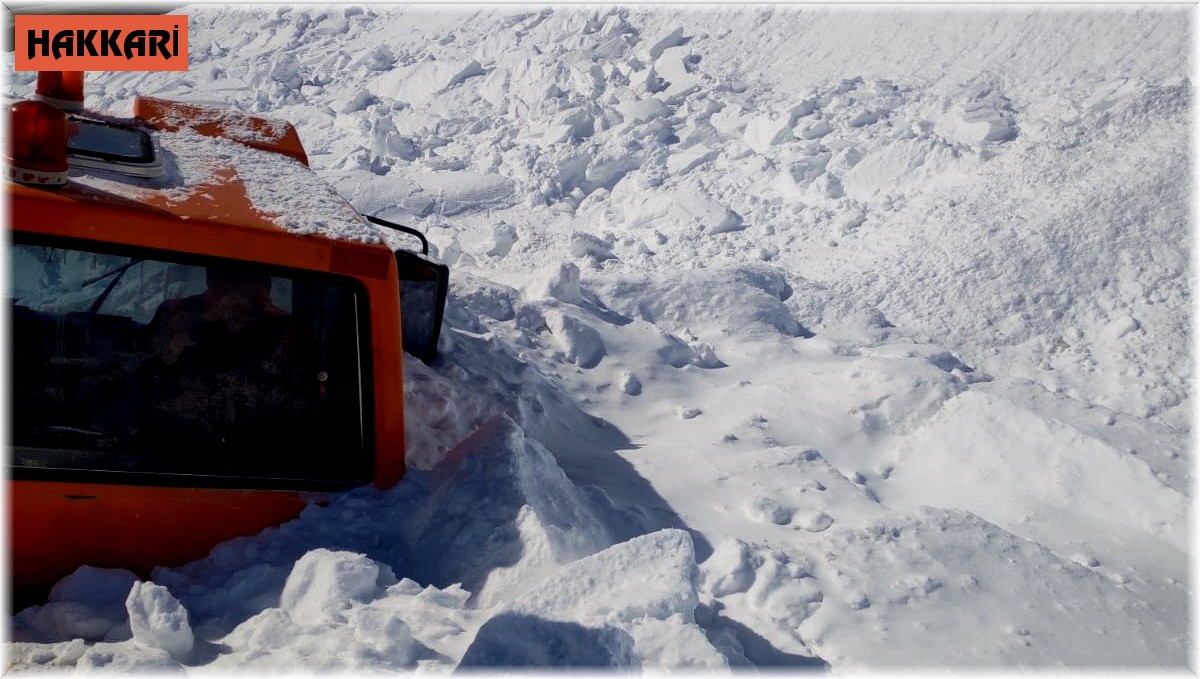 Yüksekova-Şemdinli karayolunda ekiplerin üzerine çığ düştü