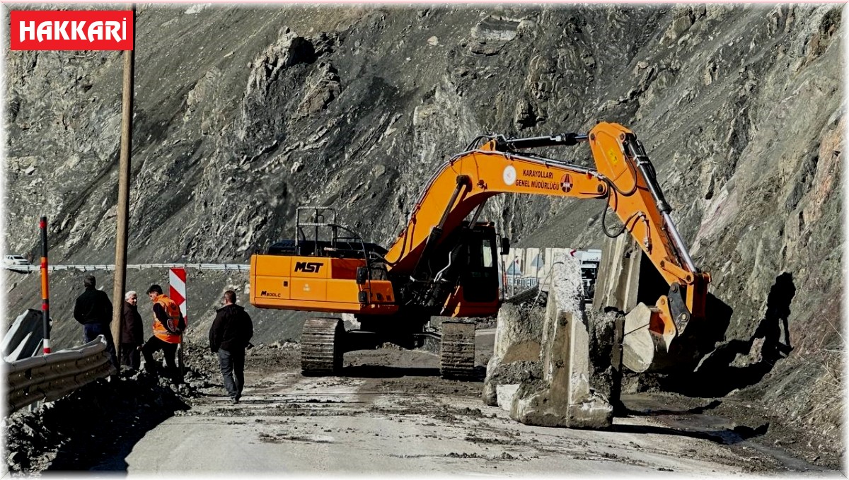 Yüksekova-Van karayolunda heyelan