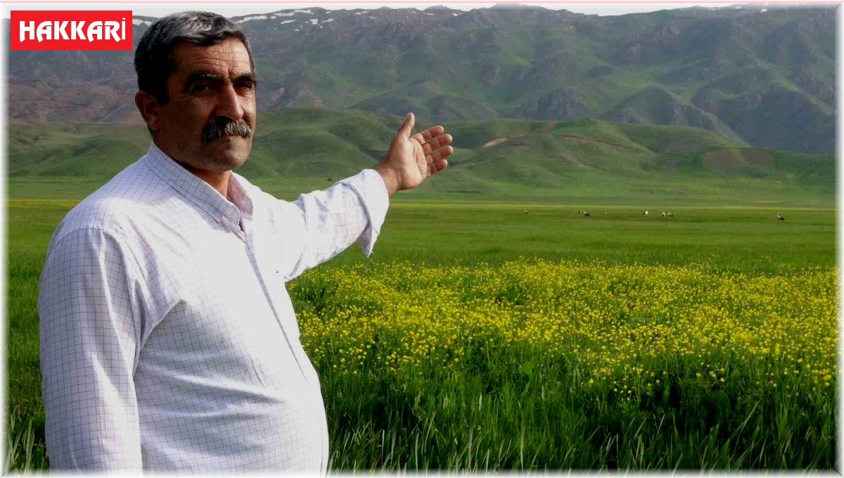 Yüksekova'ya gelen leyleklere türkülü karşılama