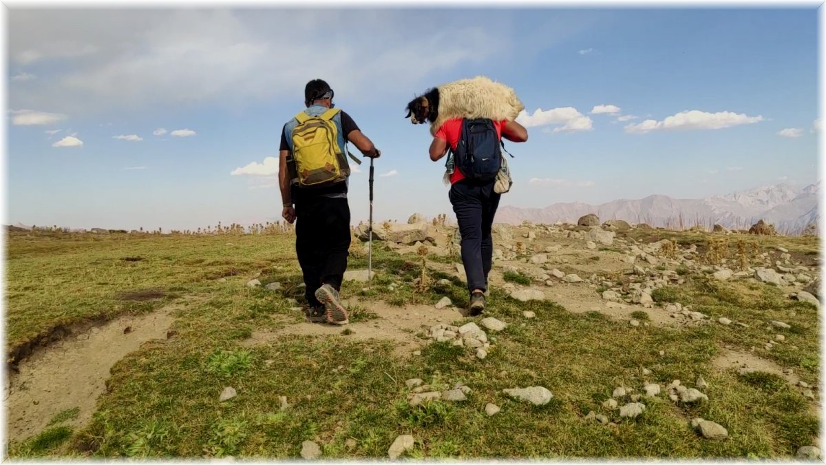 Yüksekovalı dağcılar, dağda buldukları oğlağı sırtlarında taşıyıp sahibine teslim ettiler