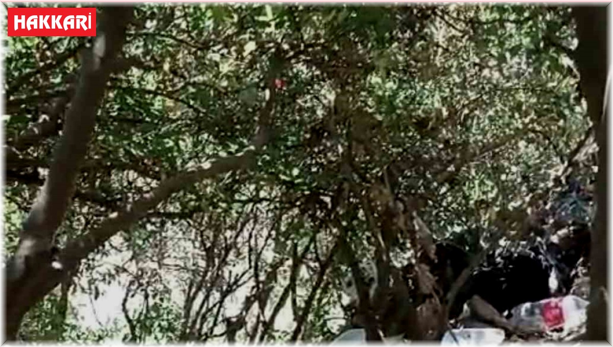 Yüksekovalı dağcılardan örnek davranış