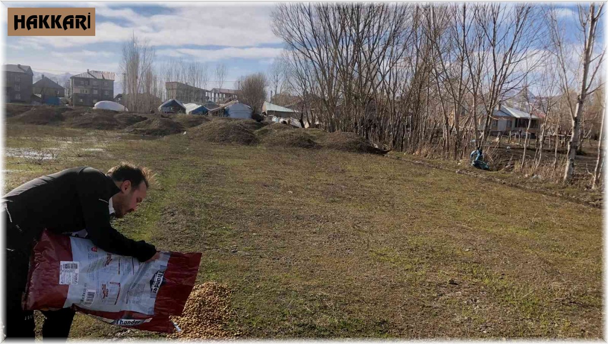 Yüksekovalı gençler sokak hayvanları için mama dağıttı
