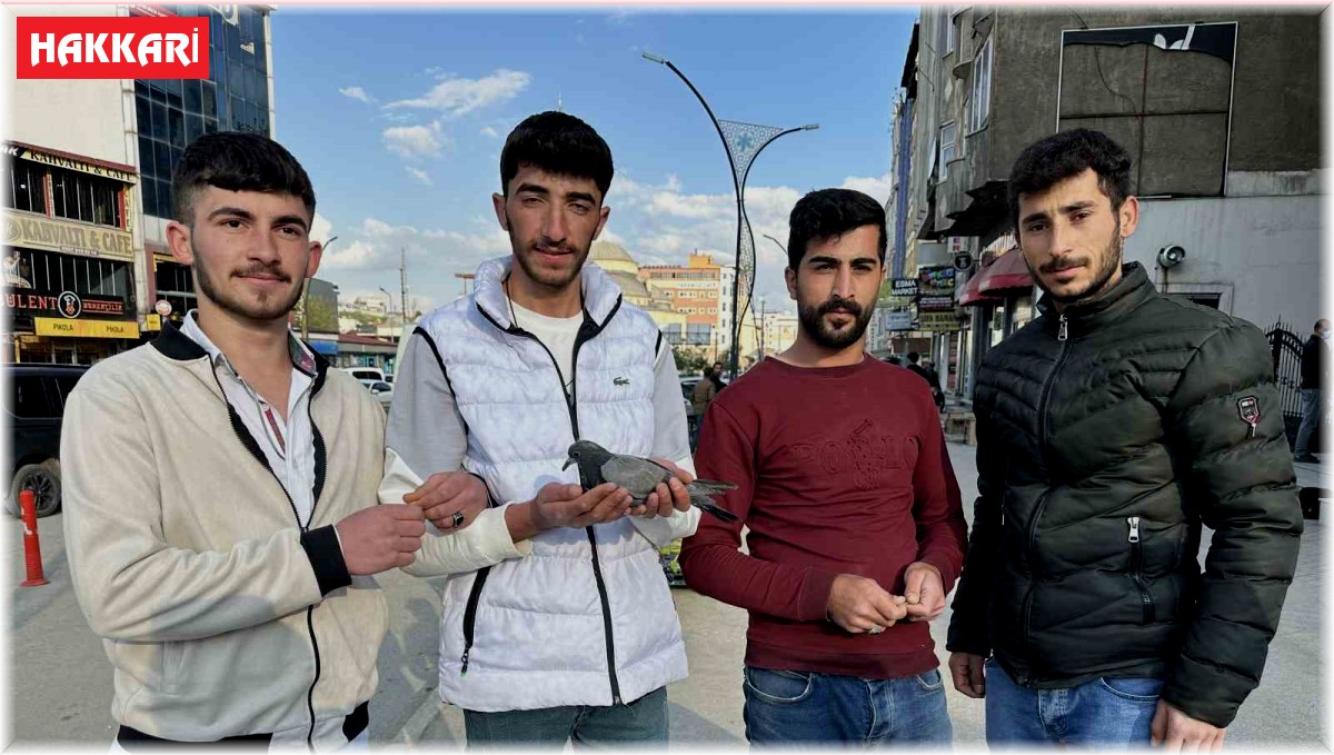 Yüksekovalı gençlerden örnek davranış: Yaralı güvercin kurtarıldı