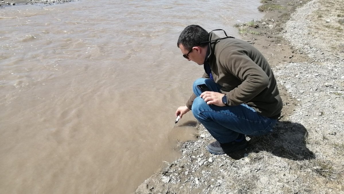 Yükselen su seviyesi inci kefali göçüne umut oldu