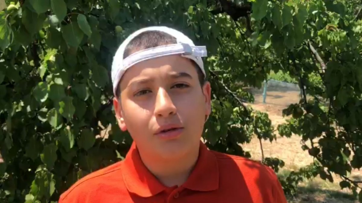 Yumurtaları toplamak isterken horozun saldırısına uğradı