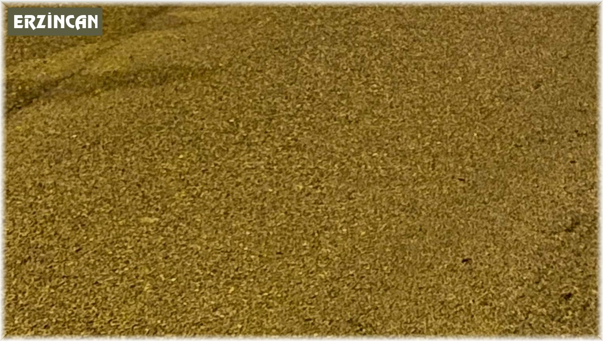 Yürek burkan fotoğraf