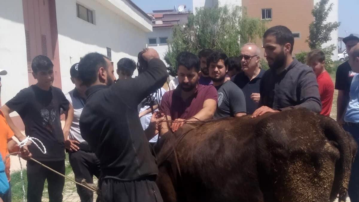 Yurt öğrencileri için kurban kesildi