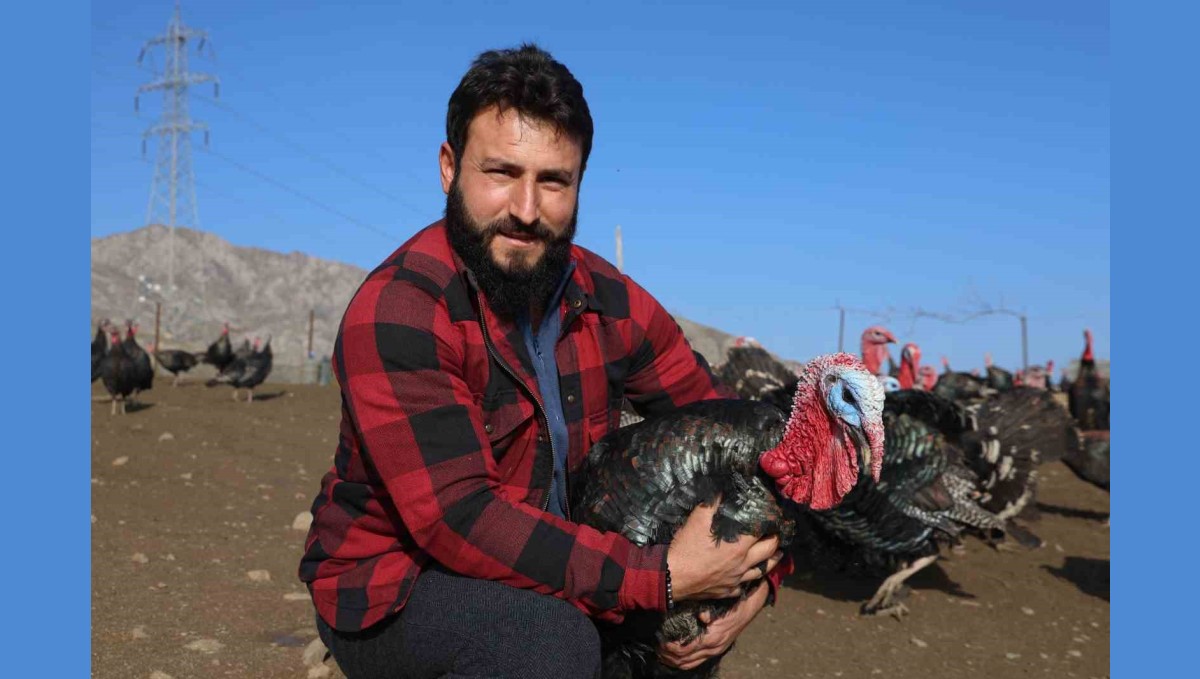 Yurtdışından dönüp, memleketine çiftlik kurdu