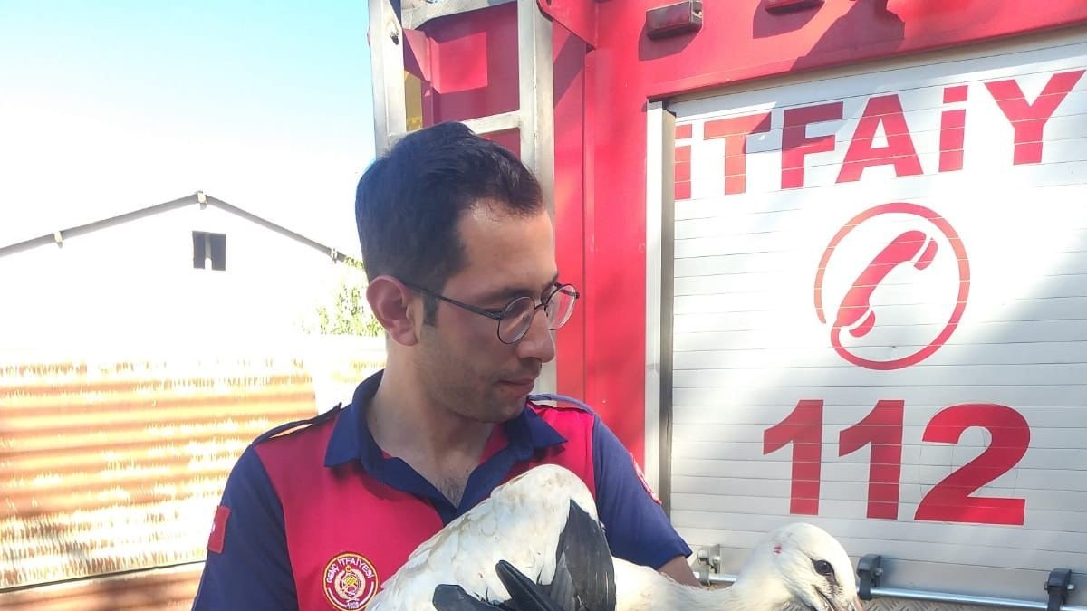 Yuvadan düşen leyleğin imdadına itfaiye yetişti
