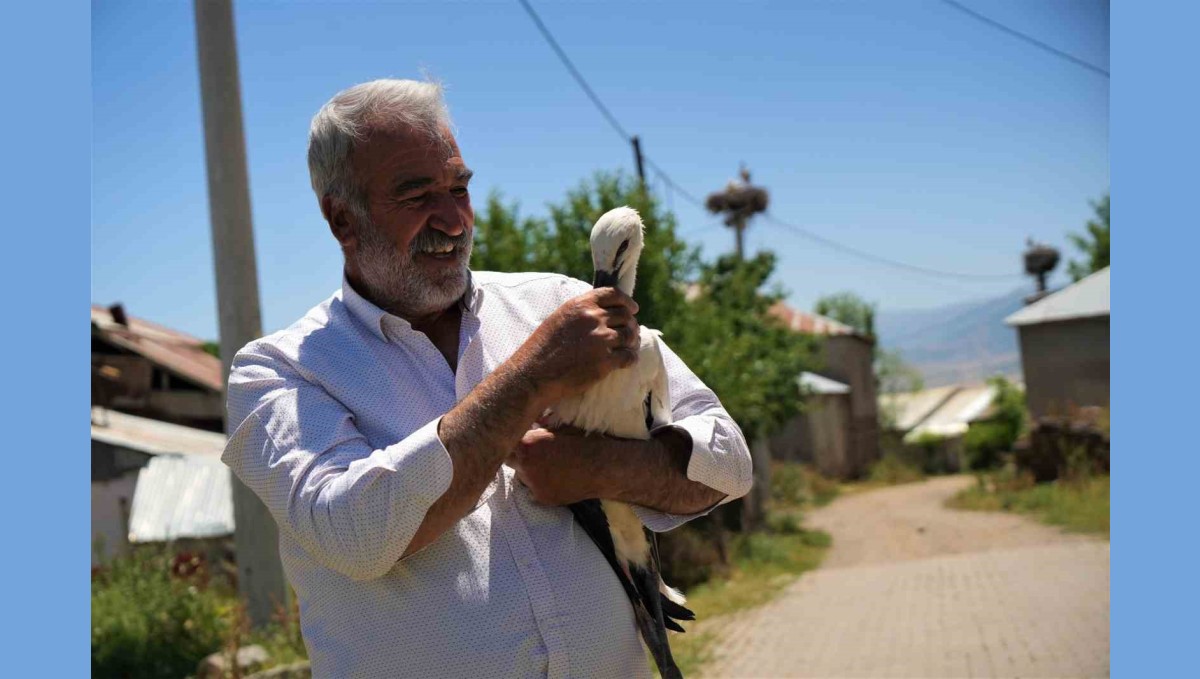 Yuvadan düşen leylek yavrusu koruma altına alındı