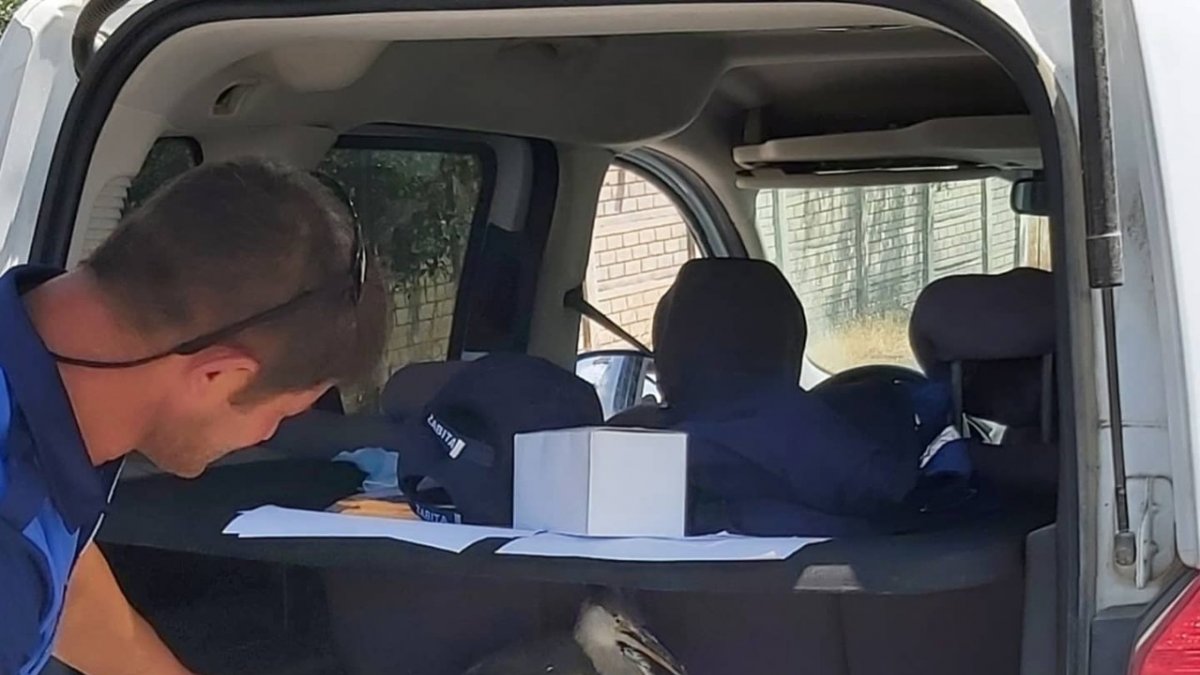 Yuvadan düşen yavru Gri Balıkçıl tedavi altına alındı