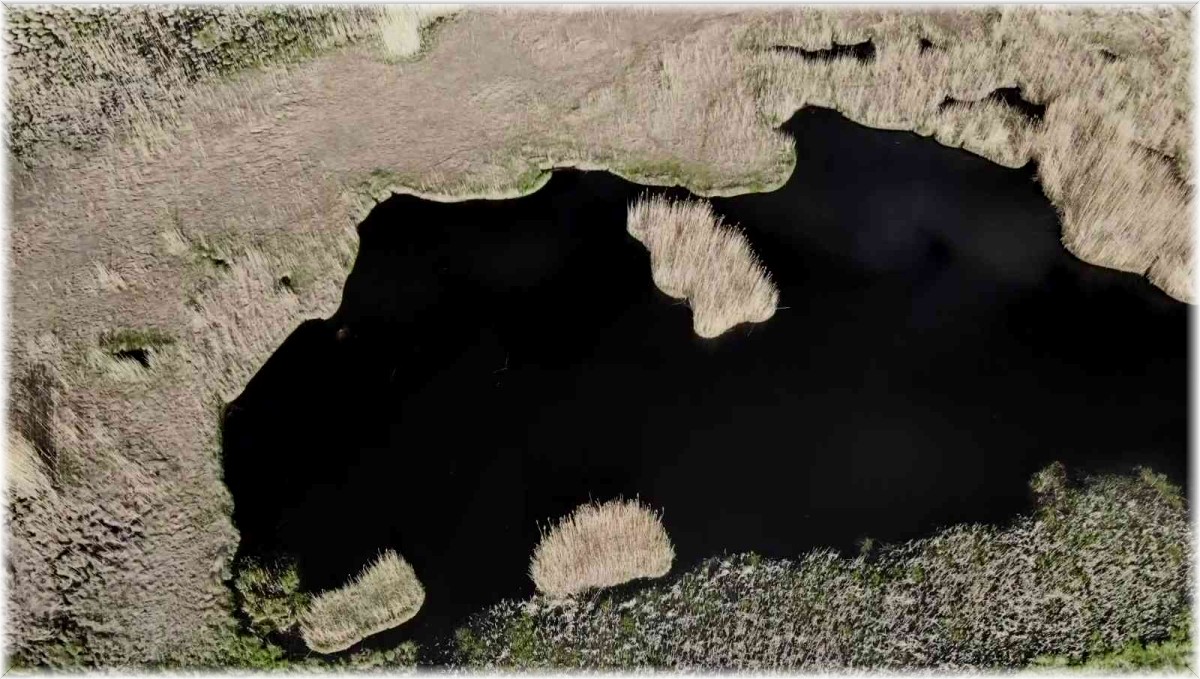 Yüzen adalar kartpostallık görüntüler ortaya çıkarttı