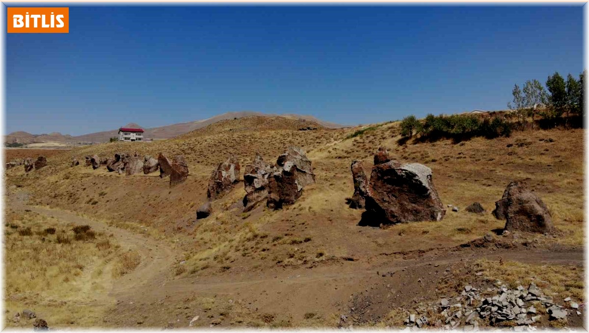Yüzlerce yıllık 'Nemrut Develeri' bir bir yok oluyor