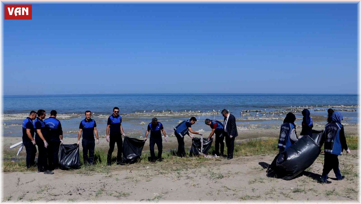 Zabıta ekipleri, Van Gölü sahilinde temizlik çalışması yaptı