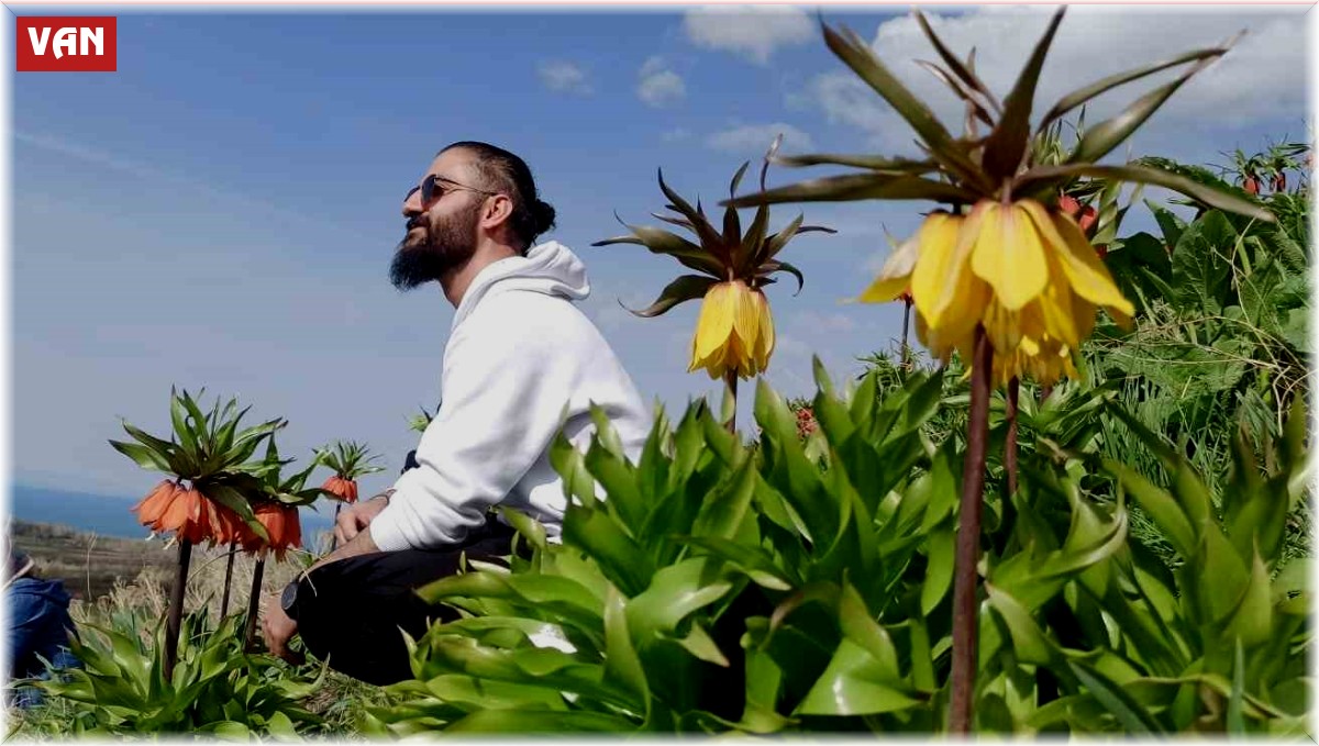 Zerrinkadeh çiçekleri ve terslaleler doğal fotoğraf stüdyosu oldu