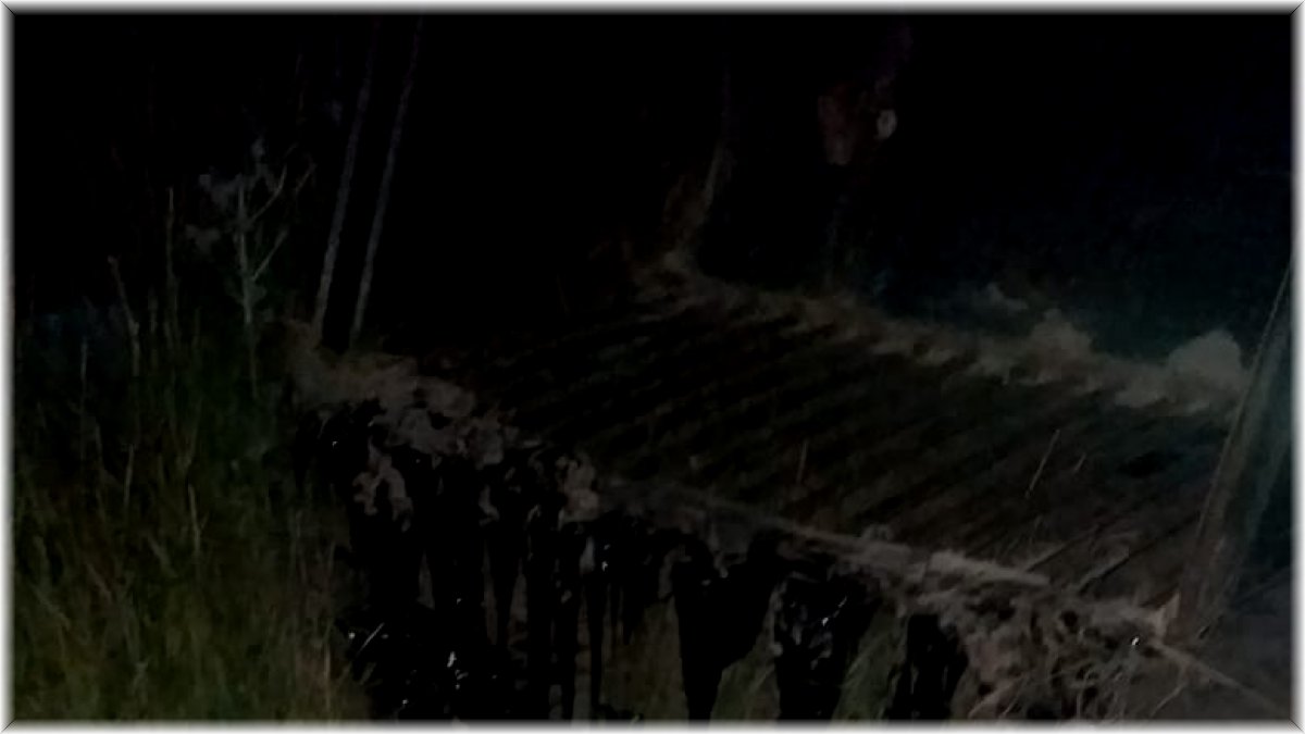 Zift birikintisine düşen köpeği itfaiye ekibi kurtardı