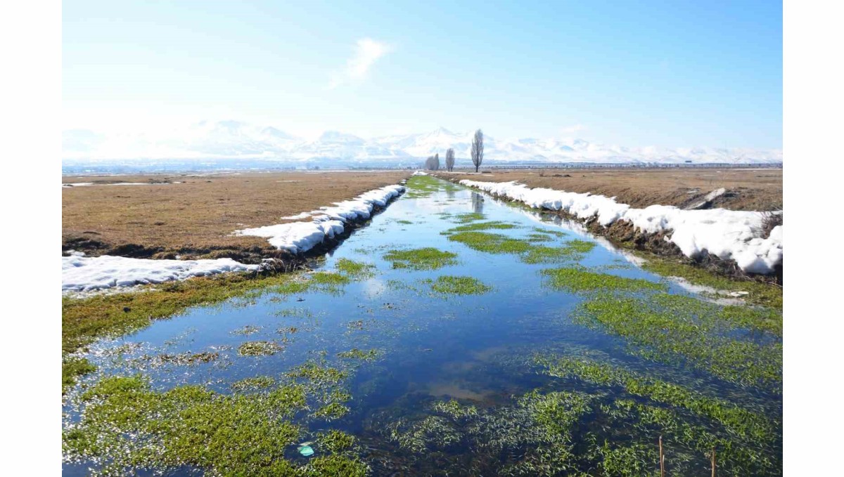 Zirai don tehlikesi sürüyor