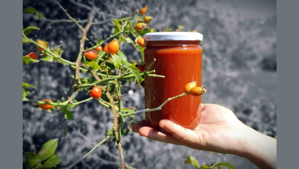 Zorlu arazilerden toplanan kuşburnu marmelat olarak kavanozlara giriyor