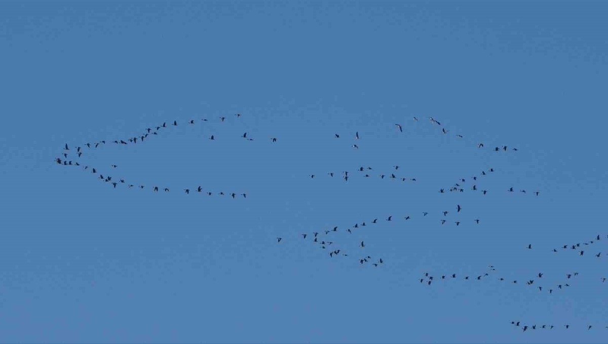 Zorlu göçün durağı Erçek Gölü