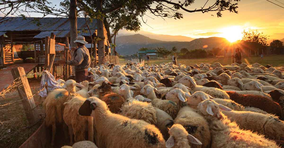 Rüyada Ahır Görmek Ne Anlama Gelir?