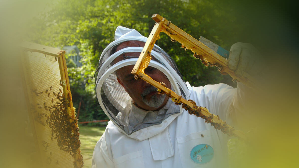 Rüyada Arıcı Görmek: Anlamı ve Yorumu