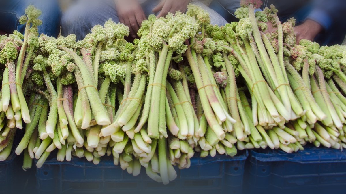 Rüyada Işkın Görmek, Rüyada Işkın Yemek, Toplamak Ne Anlama Gelir