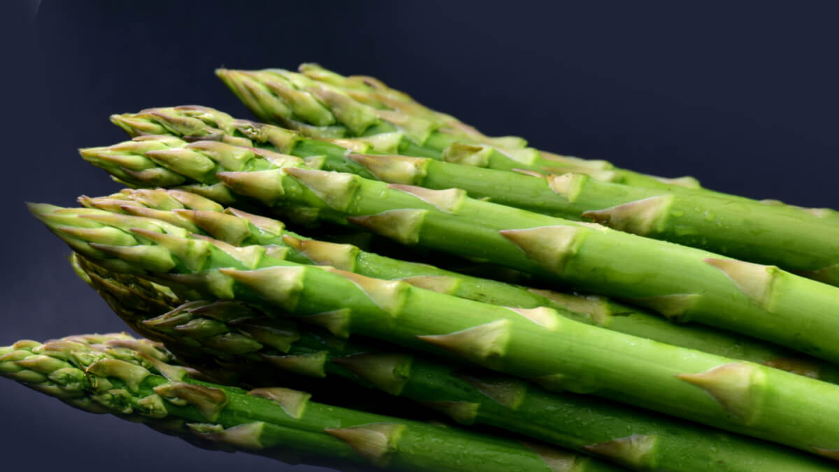 Rüyada kuşkonmaz Görmek