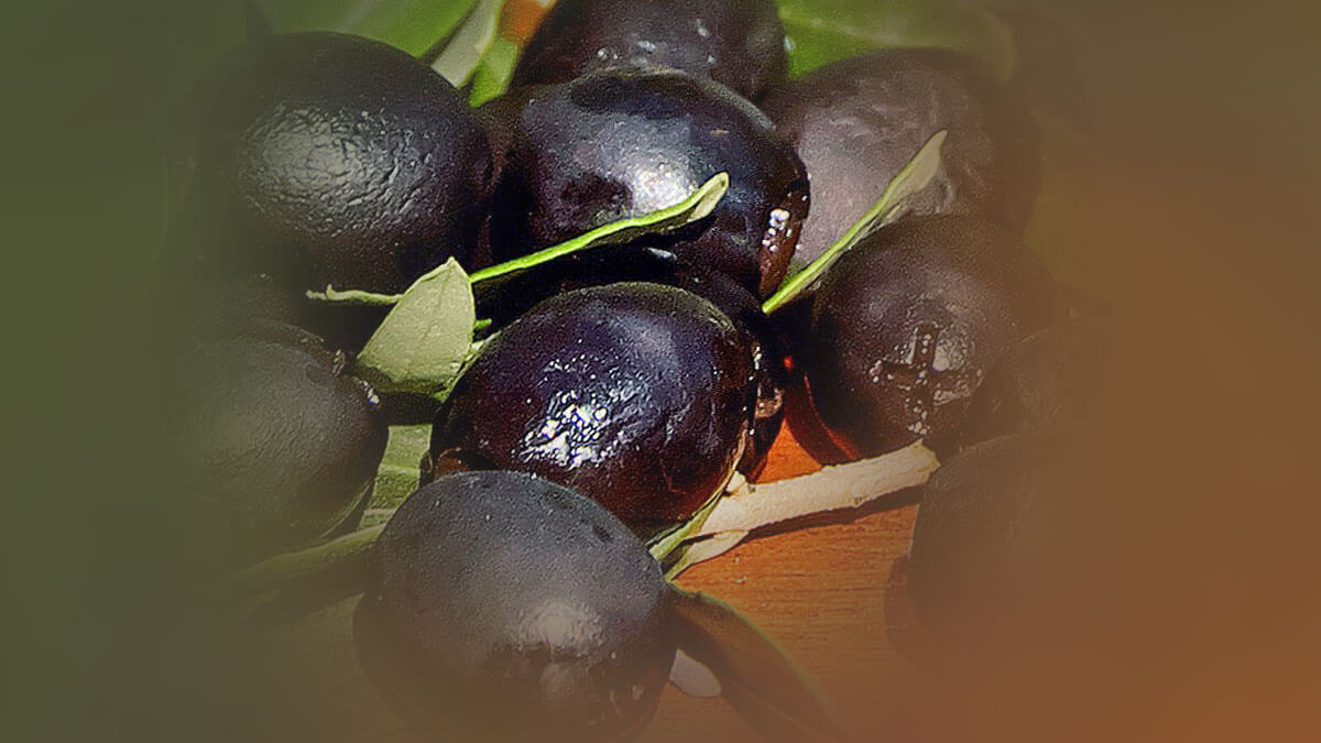 Rüyada Siyah Zeytin Görmek: Anlamı ve Yorumu