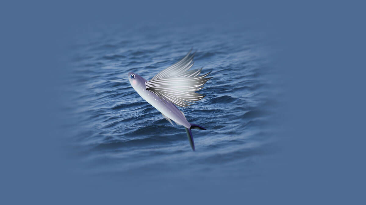 Rüyada Uçan Balık Görmek: Anlamı ve Yorumu