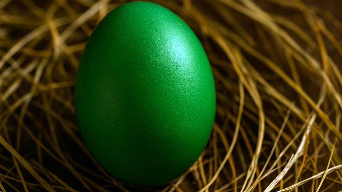 Rüyada Yeşil Yumurta Görmek Ne Anlama Gelir?