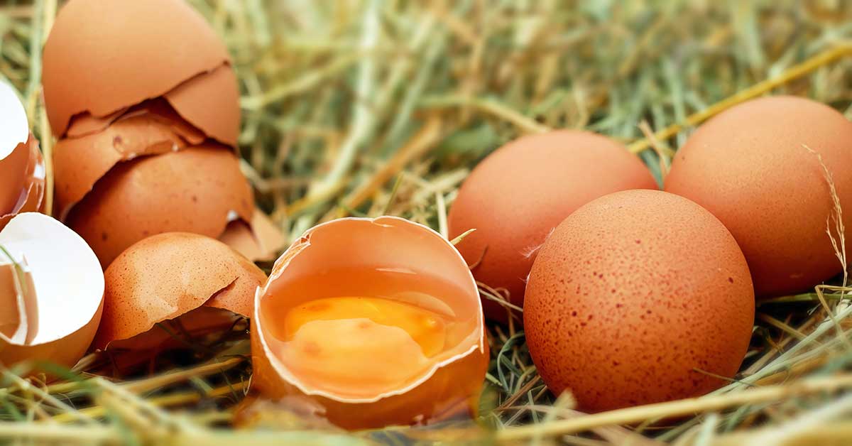 Rüyada Yumurta Kırmak Nedir? Yumurtanın Kırılması Ne Anlama Gelir?