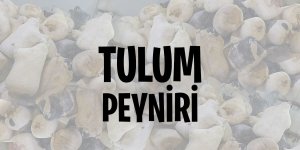 Rüyada Tulum Peyniri Görmek