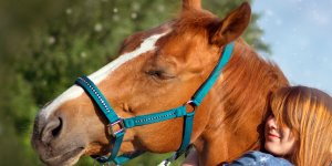 Rüyada yular görmek