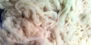 Rüyada Yün Görmek