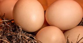 Rüyada Yumurta Almak